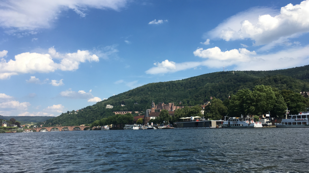 Blick auf Heidelbergs Ufer vom Fluss aus