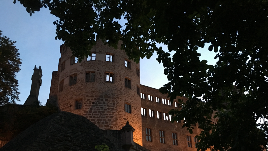 Baumlücke erlaubt Blick auf Schlossruine. 
