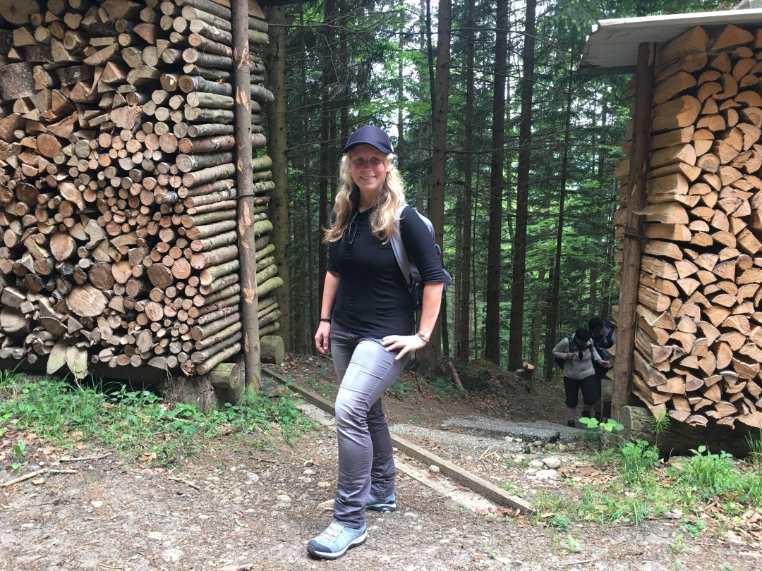 Wander-Lizzi zwischen aufgeschichtetem Holz