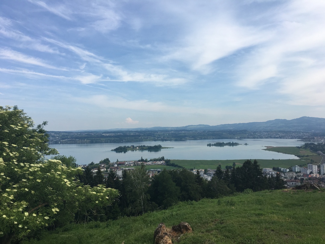 Zürichsee aus Distanz